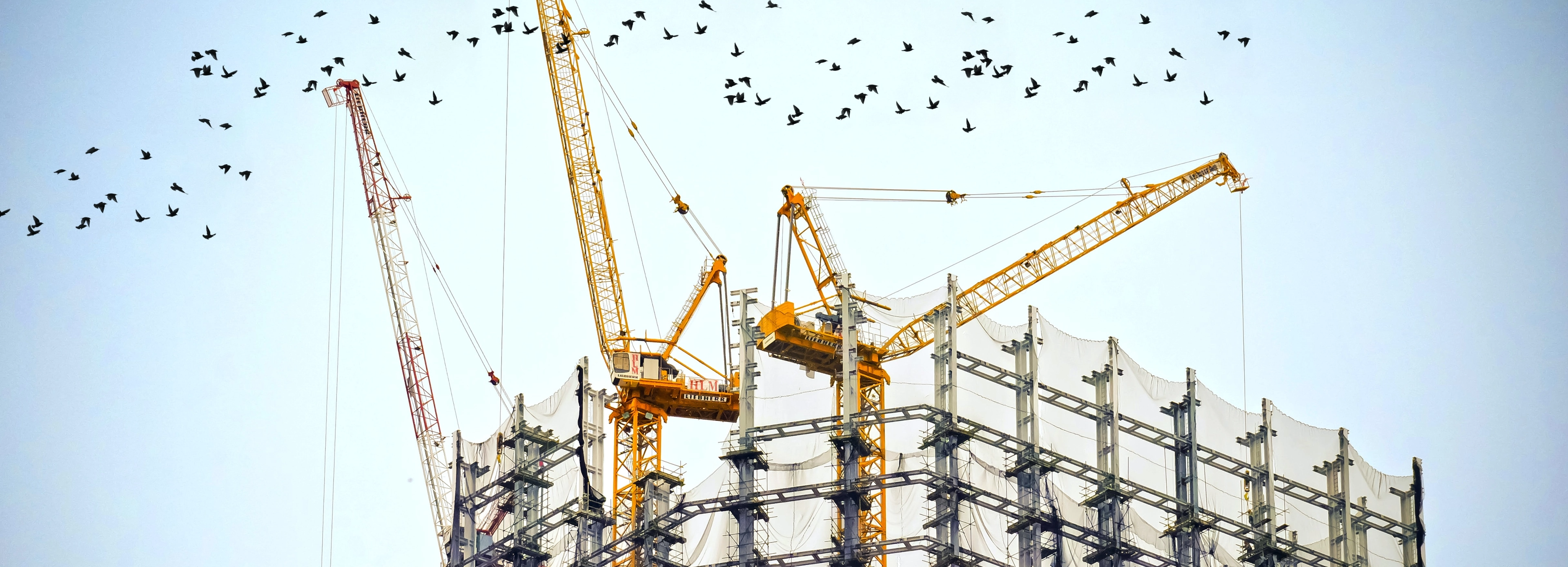 Photographie d'un chantier de construction d'un immeuble avec un vol d'oiseaux migrateurs